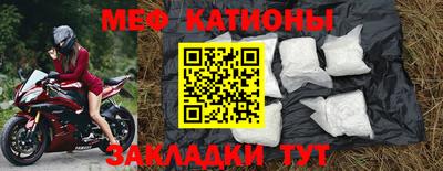 шишки Будённовск