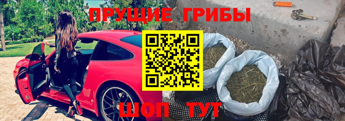 Псилоцибиновые грибы Cubensis  Галлюциногенные грибы Cubensis  Вход с VPN  Электрогорск 
