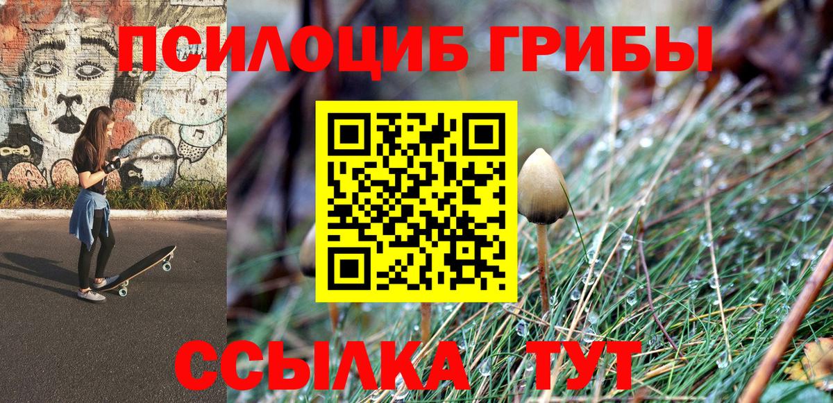 Галлюциногенные грибы MAGIC MUSHROOMS Электрогорск